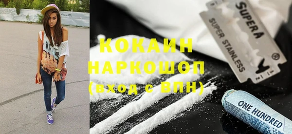 бошки Алексин